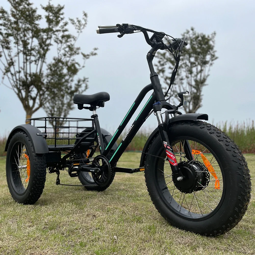 EZREAL USA Warehouse 500W 750 Watt Electric Bike 3 Three Wheel Fat Tire Cargo Bike Electric Tricycle custom