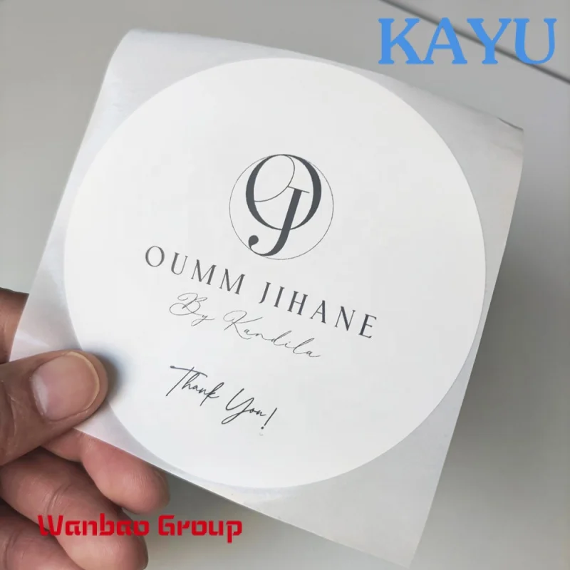 Рисунок 2 - Пользовательский логотип