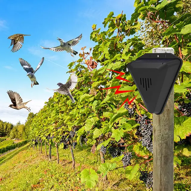 Napelemes Madárriapító Ultrahangos Hangjelző Rágcsálók Napelem Sziréna Biztonsági Riasztó Detektor Gazdaságokhoz Gyümölcsösök Mezői Kertek Tavak - Image 5
