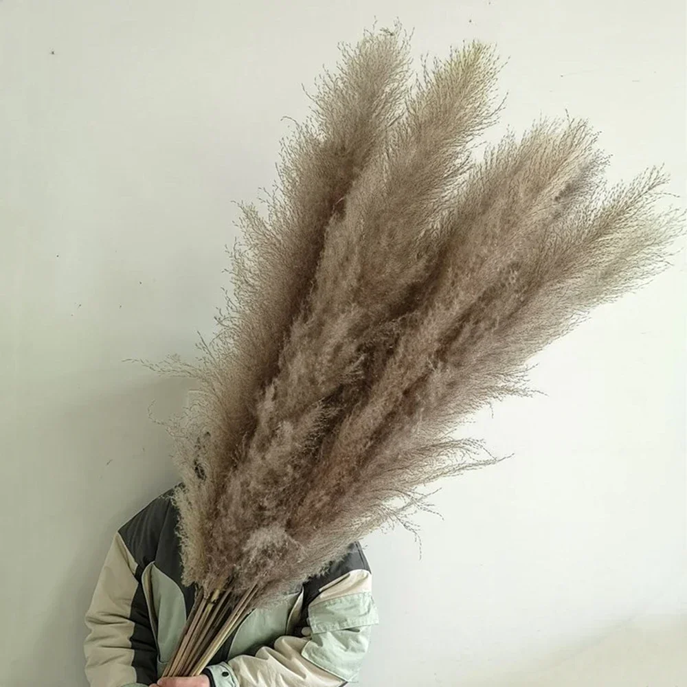 Uzun Doğal Kamış Kurutulmuş Çiçek, Büyük Pampas Çim Buketi, Düğün Çiçek Töreni Dekorasyonu, Modern Ev Dekorasyonu, 80cm