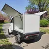 Hot Selling Solar Power Car 2 Door 3 Seat Mini Electric Box Truck Suitable For Food