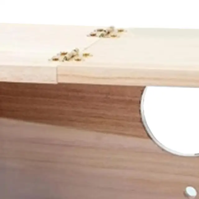 Bird Nest Box Parakeet Nesting Box Decorative Pet Accessories Mating Box Transparent Breeding Box for Parrot, Finch, 5