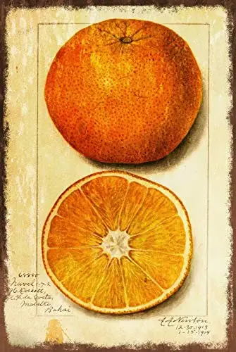 

Orange Vintage Illustration Wall Decor Metal Tin Sign 8x12 Inch