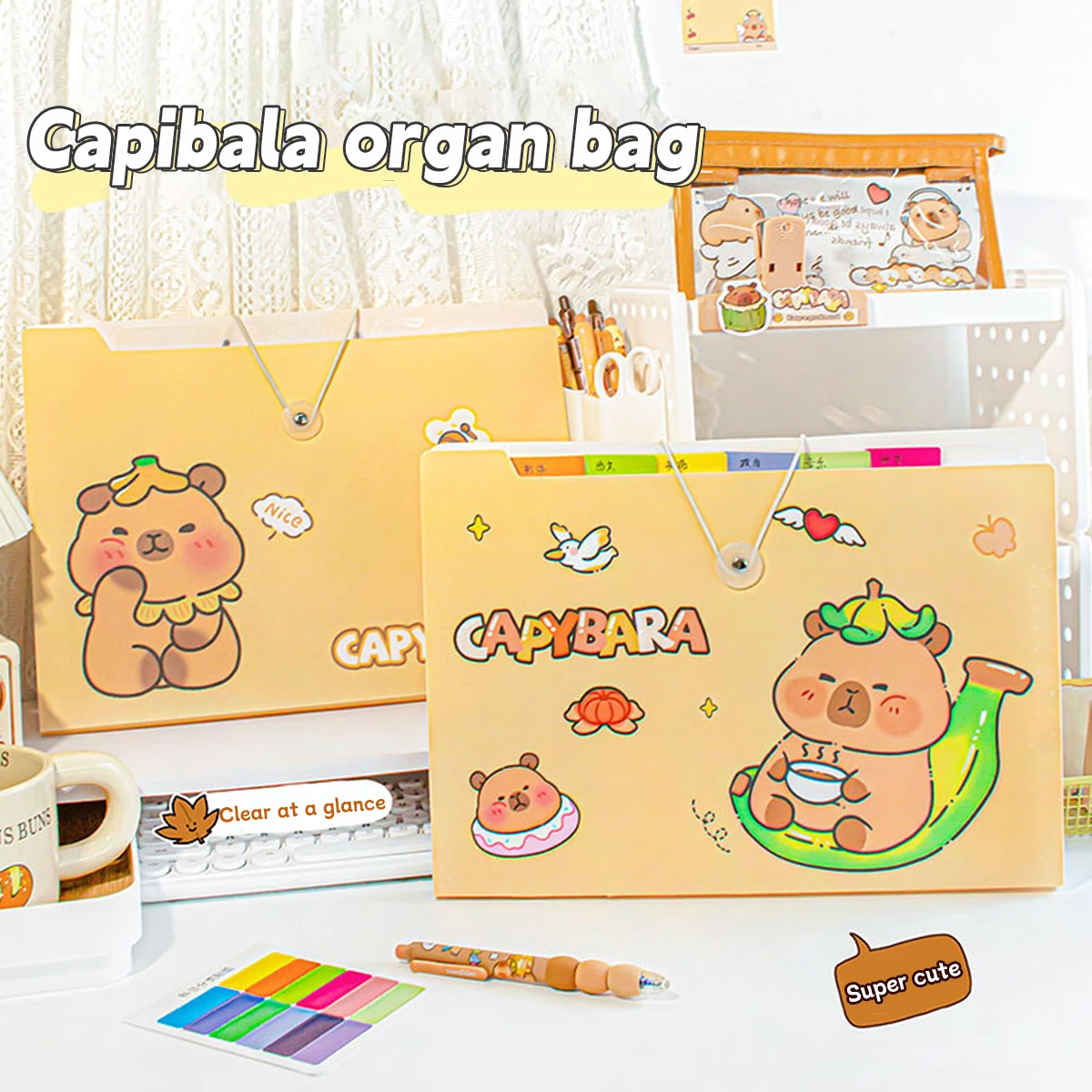 File Folder A4 Data Classification Accordion Bag