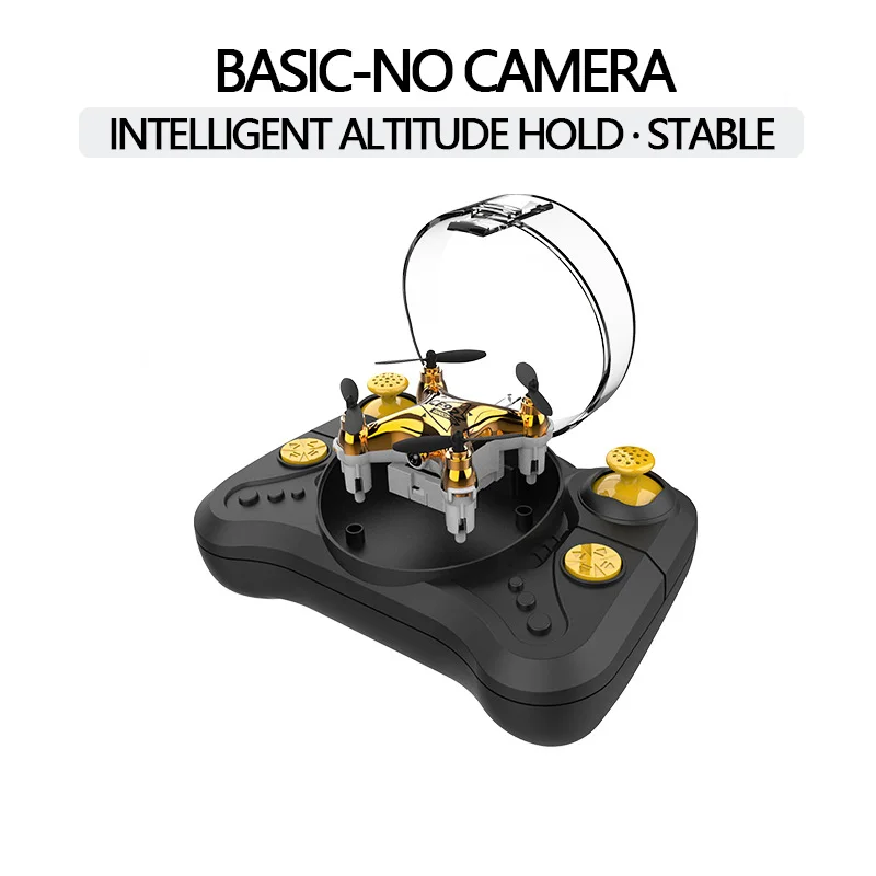 Golden No Camera