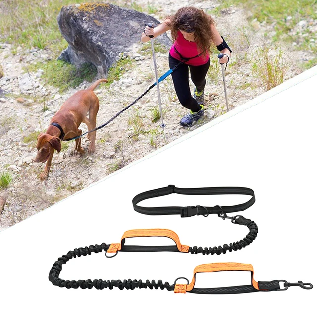Retractable Hands Free Dog Leash For Running Double Handles Elastic Cord Reflective Large Dog Leash Pet Supplies Retractable Hands Free Dog Leash For Running Double Handles Elastic Cord Reflective Large Dog Leash Pet Supplies
