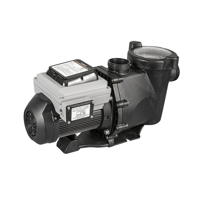 

IGP2020VS 230V 50Hz 60Hz 2Hp US Energystar DOE Smart Variable Speed pump for swimming pool