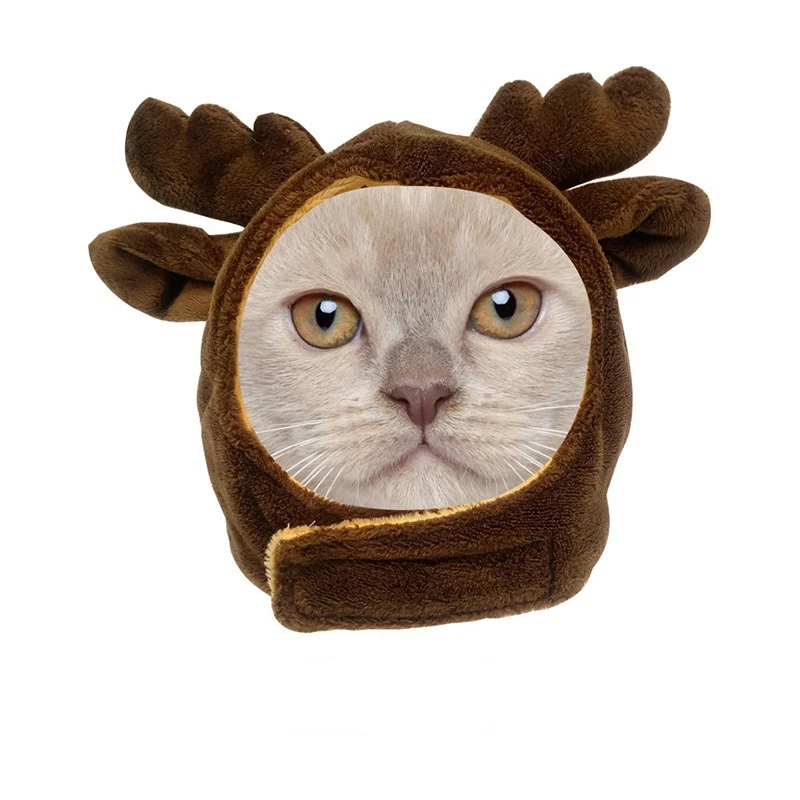 deer dark