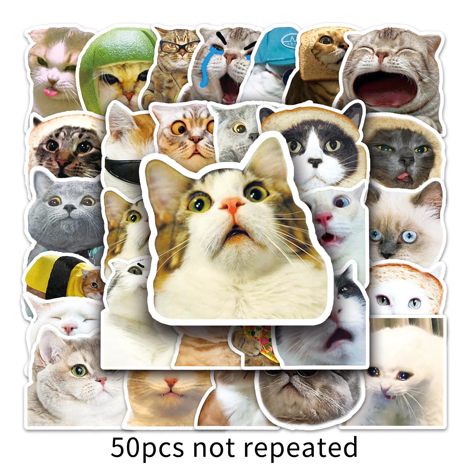 Cute Pet Stickers Kawaii Funny Cat Meme Decals Vinyl Waterproof Stickers Water Bottle Laptop Bumper Phone Guitar 50pcs