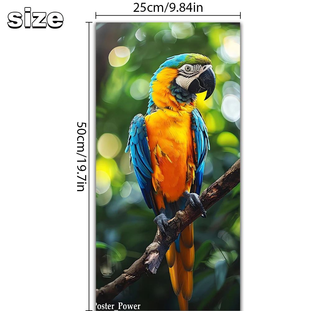 Smooth Surface Decoration DG Graphics Macaw Parrot Decal - 4x5 Inch ...