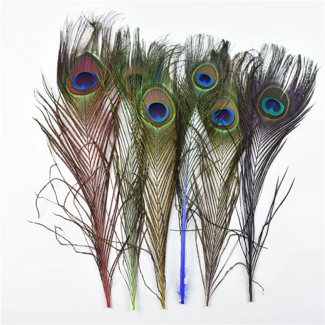 Natural Peacock Feathers 30-35 Inches Long (20 Pcs per Bundle)