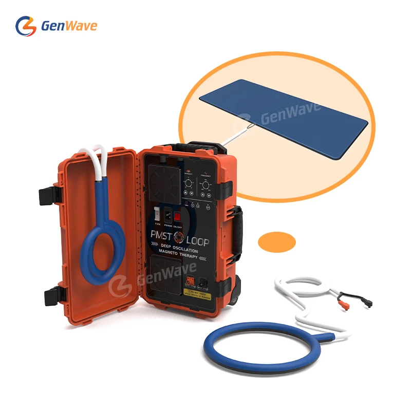 

PMST Loop PEMF Magnetic Matrres Body Massage And Improve Sleep Equipment