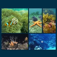 Mini WIFI RC Boat Six-way Submarine Diving Real-time Transmission Underwater Camera Speedboat Photo Video Toys Christmas Gifts 5