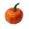 1 Set Fall Harvest Decor Props Artificial Mini Pumpkin Gourd Acorn Berries Maple Leaf Party Holiday DIY Decorations 2