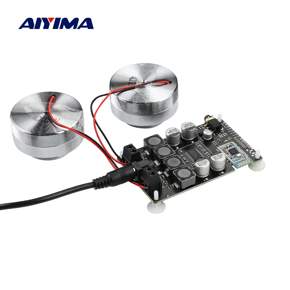 AIYIMA Audio 2 Inch Portable 25W Resonance Vibration Speaker TPA3118 Bluetooth 5.0 Amplifier Neodymium Loudspeaker DC 12V 5A