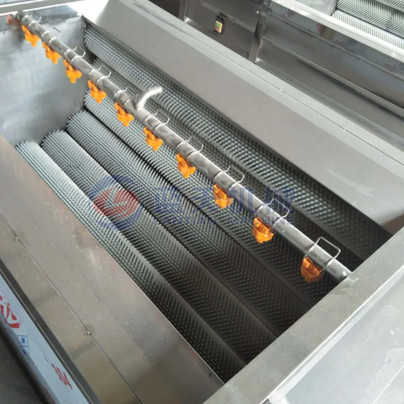 Brush roller type potatoes yam root vegetables fruit washing peeling cutting machine carrot washer walnut cleaning machine 3