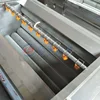 Brush roller type potatoes yam root vegetables fruit washing peeling cutting machine carrot washer walnut cleaning machine 3