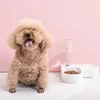 500ml Pet Automatic Feeder Small Bowl Drinkable Portable Cat and Dog Food Bowl Living Room Bedroom Pet Products  Pet Items 6