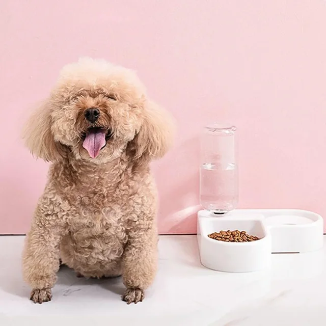 500ml Pet Automatic Feeder Small Bowl Drinkable Portable Cat and Dog Food Bowl Living Room Bedroom Pet Products  Pet Items 6
