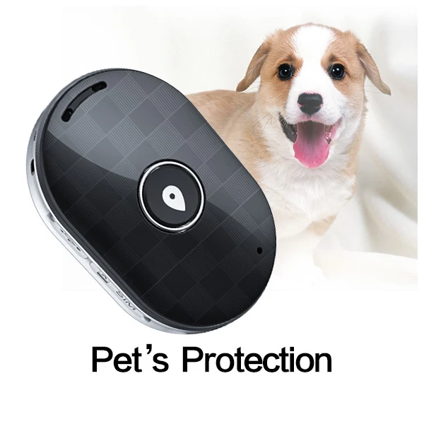 GPS Dog Tracker-Real-Time Location Collar, Waterproof & Rechargeable Pet Locator for Small/Medium Dogs