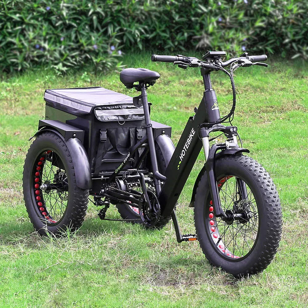 2025 Hochwertiges 500 W 750 W Frachtdreirad, elektrisches Pedicab, Lithiumbatterie, Fat Bike, elektrisch 2
