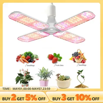 우니재의 알리알리 알리숑 - 9370 - 2025년 12월 31일 2