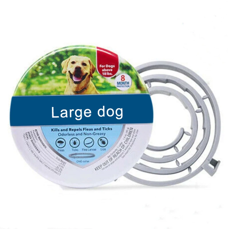 Large dog box