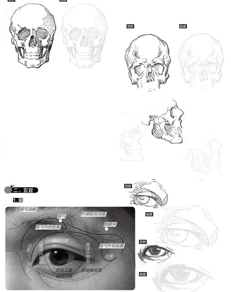 livro estrutura do corpo humano características faciais esboçar cópia tutorial