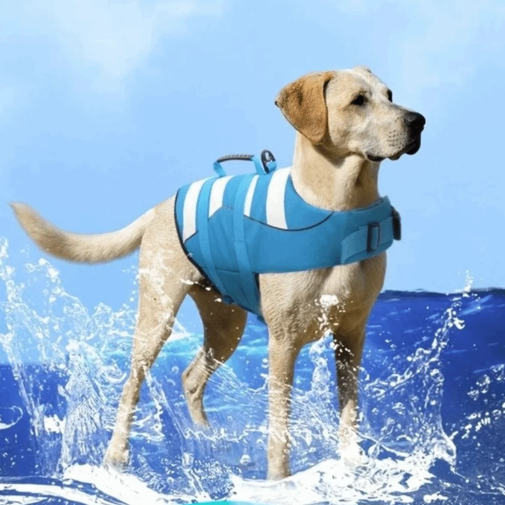 Reflective Dog Life Jacket Adjustable Breathable Pet Life Preserver Superior Buoyancy with Handle Safety Vests