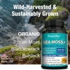 6076-543e4d.jpg Sea Moss Capsules 1600mg - for Thyroid and Immune Support, Cells, Skin, Hair, Nails, Gut Cleansing, Detoxification