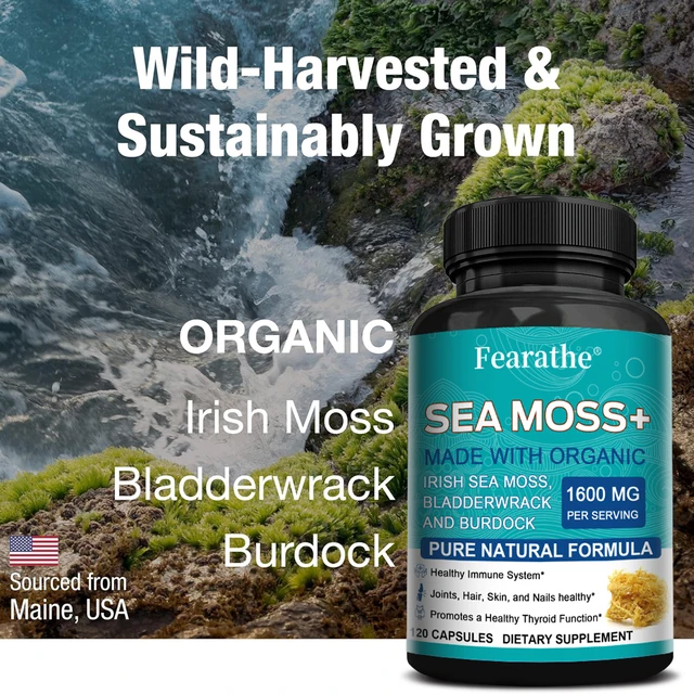 6076-543e4d.jpg Sea Moss Capsules 1600mg - for Thyroid and Immune Support, Cells, Skin, Hair, Nails, Gut Cleansing, Detoxification