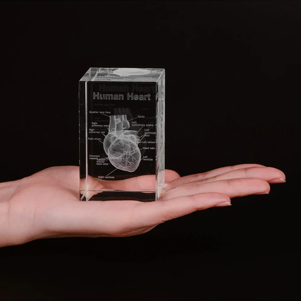 3D Crystal Human Heart Anatomy Model Cube Miniature Figurines For
