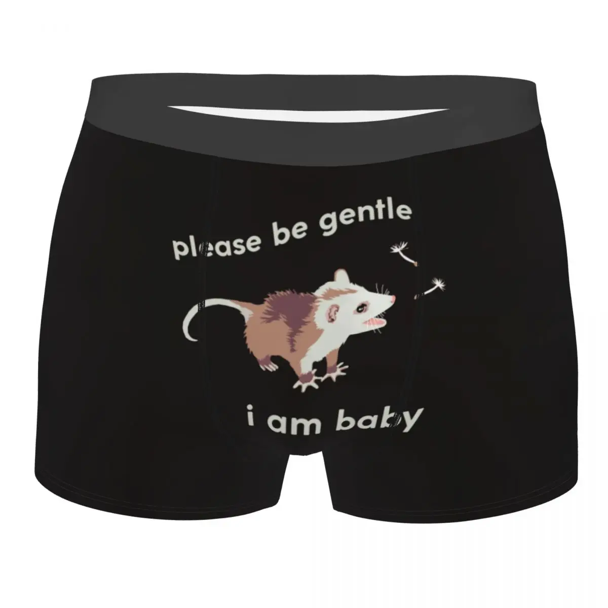 

Funny Opossum Possum Animal Man Underwear Please Be Gentle I Am Baby Boxer Briefs Shorts Panties Funny Soft Underpants for Male