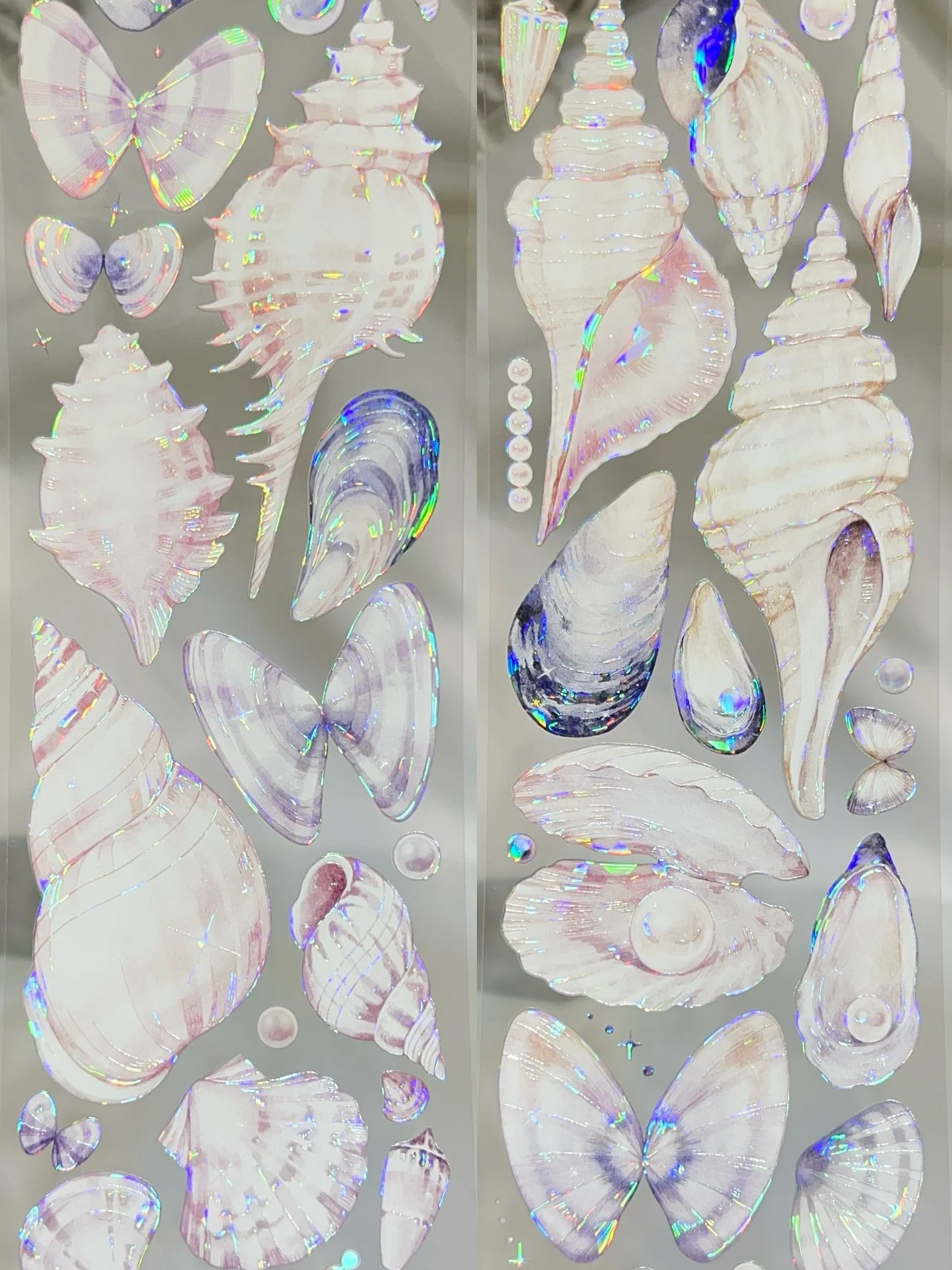 무지개 빛깔의 반려동물 와시 테이프, 바다 아름다운 조개, 1 루프