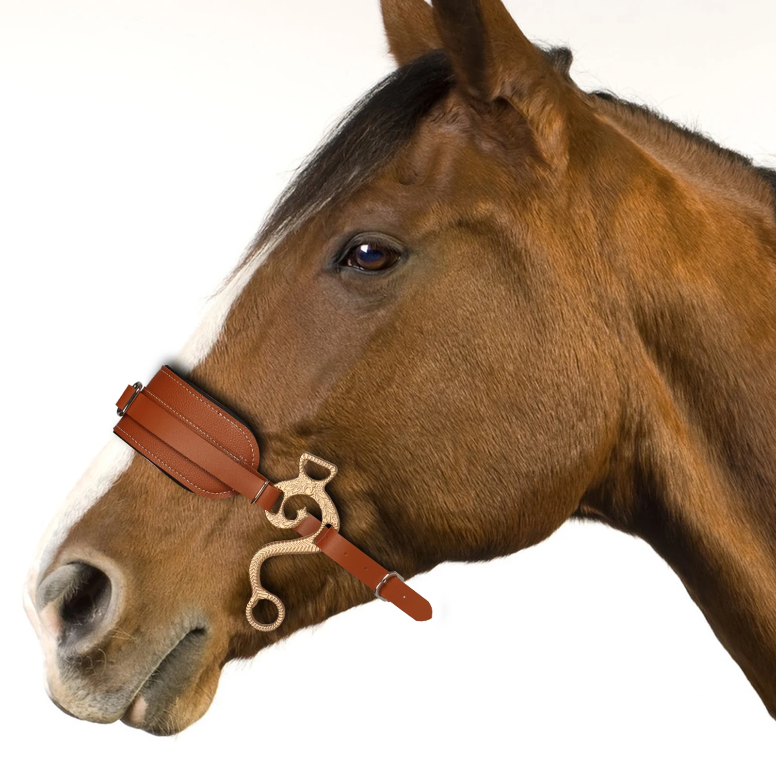 Horse Bit Bridle Hackamore Brown English Western Nose Curb Chain Padded Adjustable Horse Equipment 6