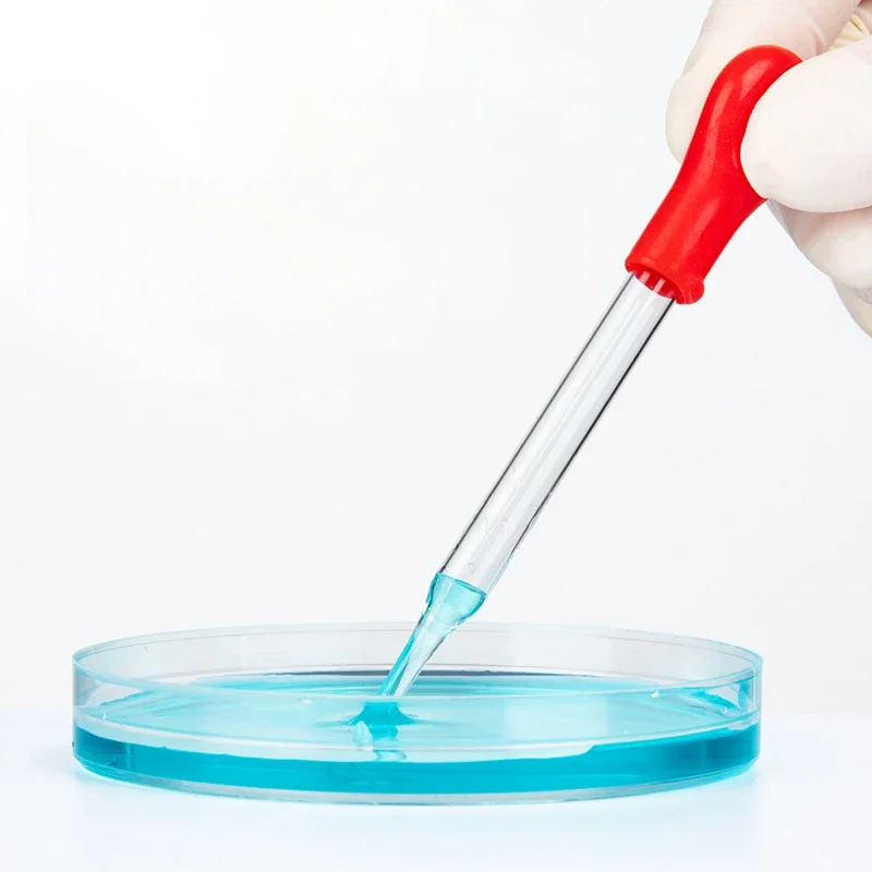 Glass Test Tubes 10 Glass Test Tubes with Red Pipette Frameless Laboratory Transparent Non-toxic Teaching Equipment 100mm/120mm/150mm/180mm