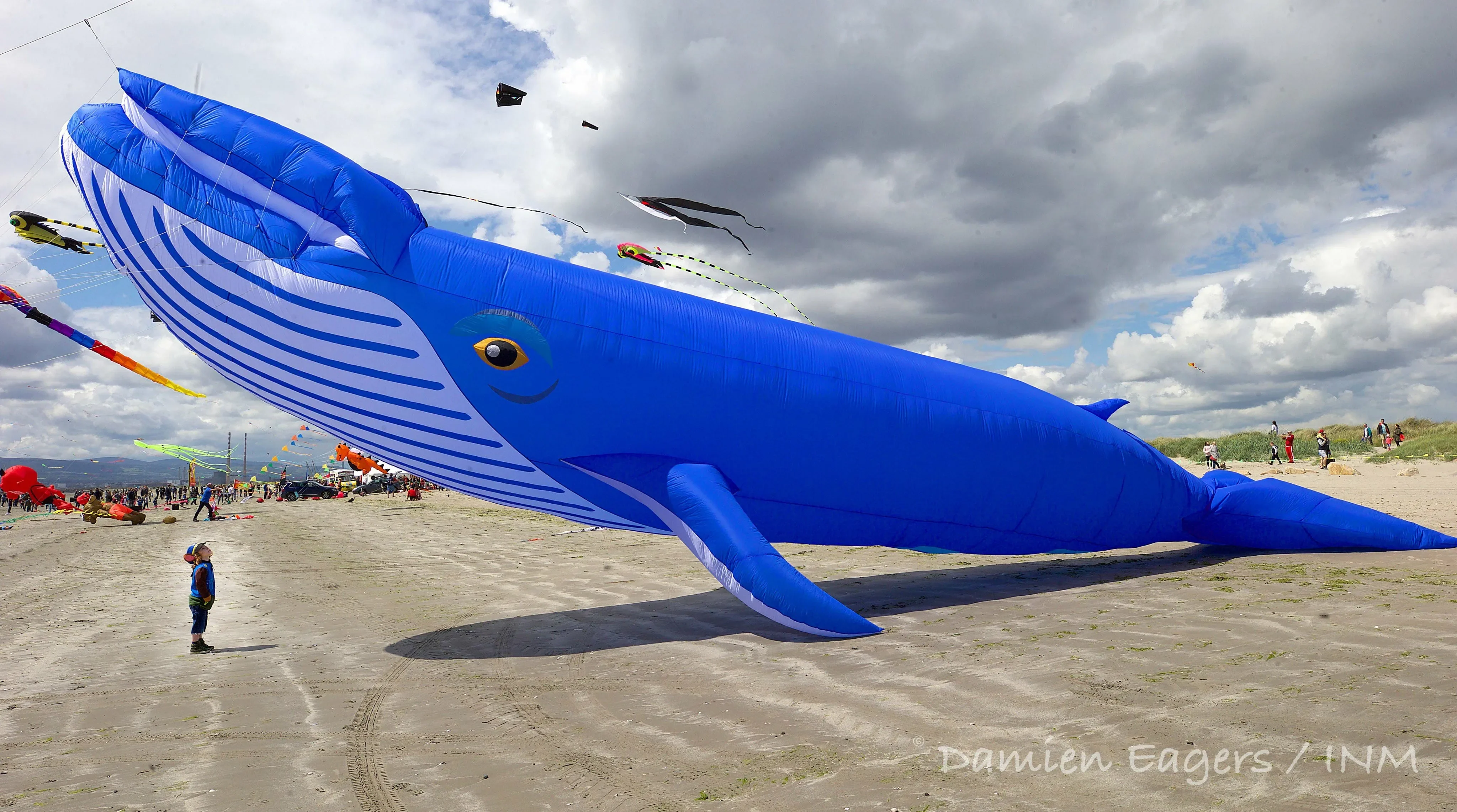 Free Delivery of 9M 30D Whale Soft Kite Beach Nylon Kite Competition Exhibition Kite Festival Easy to Fly and Tear Proof 6