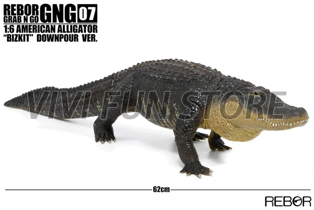 極美品 ALLIGATOR / アリゲーター 160K Alligator by Safari — Outback Toys