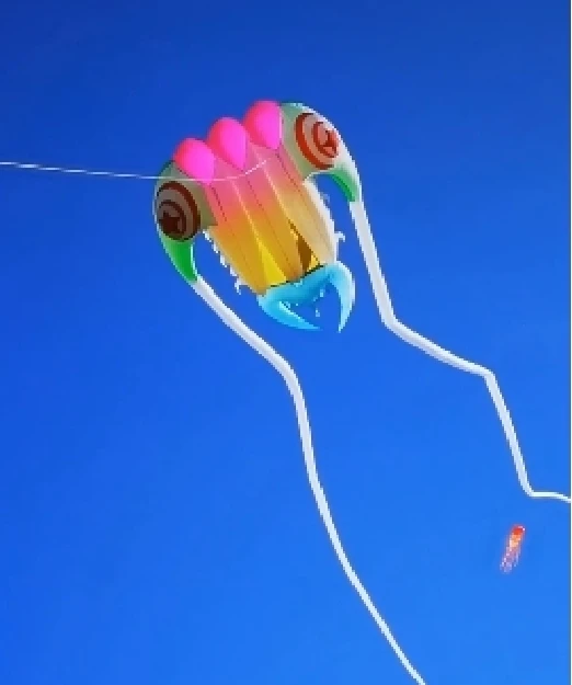 professional giant kite wind kites Trilobite soft Kite flying kites for adults outdoor toys Child kite large wind software