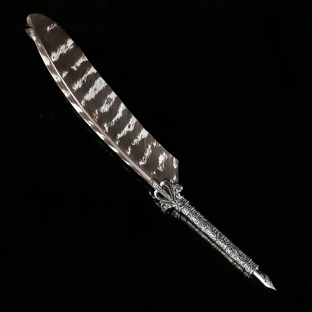 1 Set Feather Fountain Pen Calligraphy Pen Quill Oblique Fountain Luxury Pen Ink +5pcs Nib Metal for Fancy Font Office Supplies E Just a pen