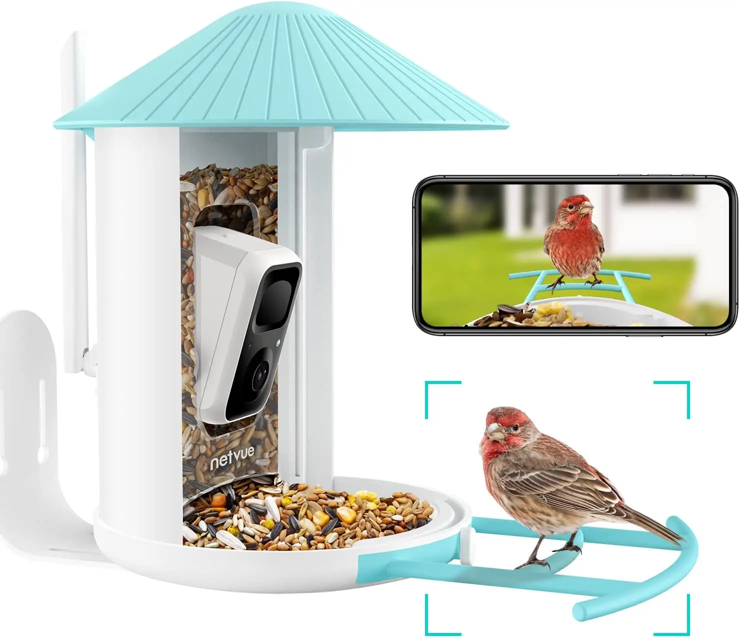 NETVUE-Caméra d'alimentation pour oiseaux sans fil, 1080P FHD, extérieur,  WiFi sans fil, moniteur de détection de mouvement des oiseaux, vision  nocturne couleur, IP65