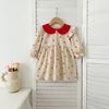 Autumn Spring New Baby Girls Dress ​Long Sleeve Princess Dress Embroider Floral Cotton Baby Romper Family Matching Sister Outfit 3