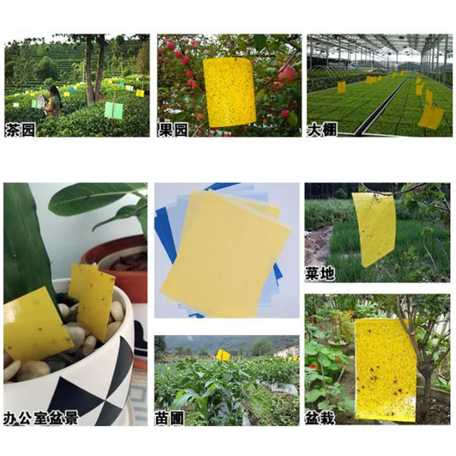 5x 강력한 끈끈한 트랩으로 해충을 襖파하고 집을 곤충 없는 지대로 만드십시오.