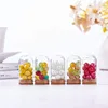 32pcs 15ml Glass Jars Decorative Bottles with Cork Stoppers Display Dome Glass Display Cloche for Wedding Party Favors 5