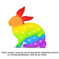 Rainbow Bunny