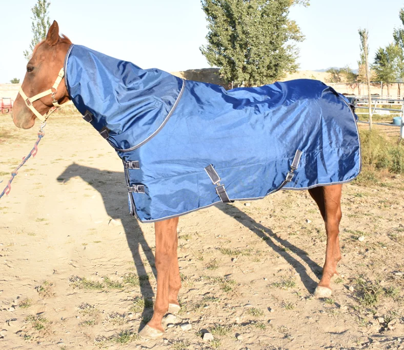 Winter Warm Horse Clothes Horse Outdoor Clothes Windproof Rain and Snow Waterproof Tack Supplies