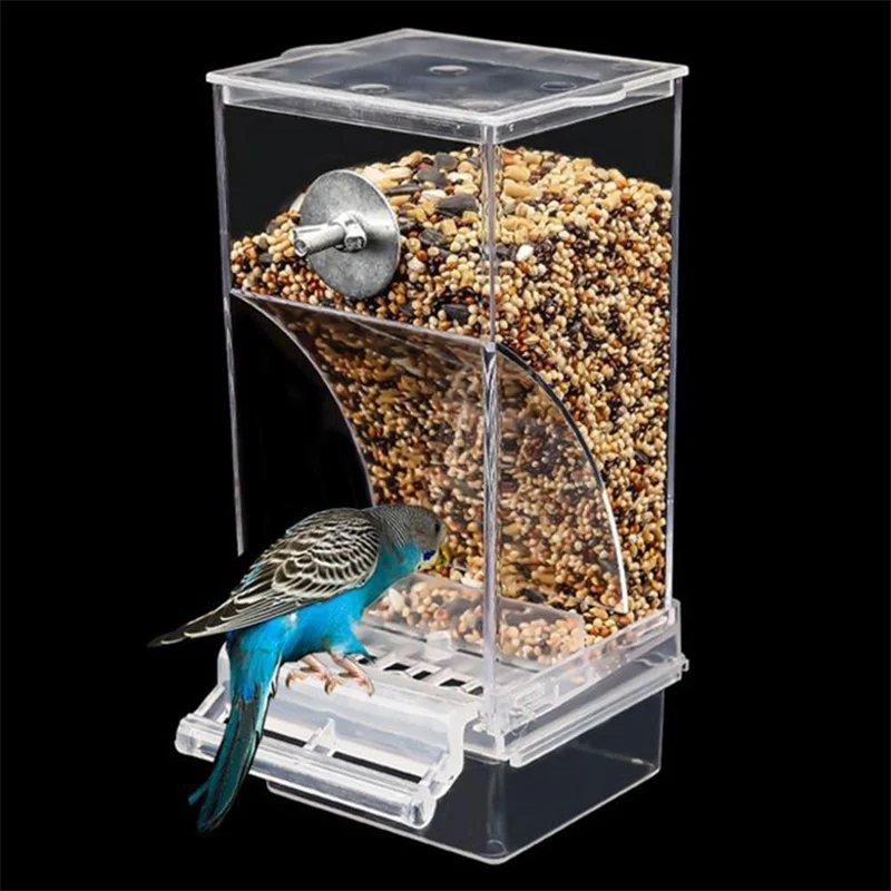 Automatic Parrot Feeder 6