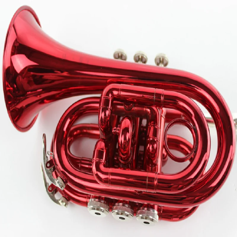 Learn Western Wind Instrument, B Flat Pocket, Red Palm Instrument