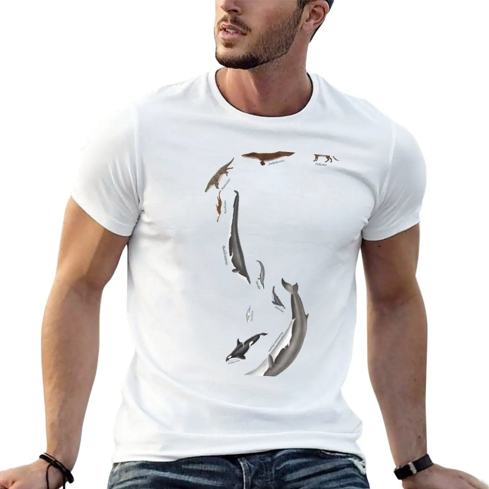 

Whale evolution - prehistoric and modern whales T-Shirt t shirt man custom t shirt mens t shirts pack