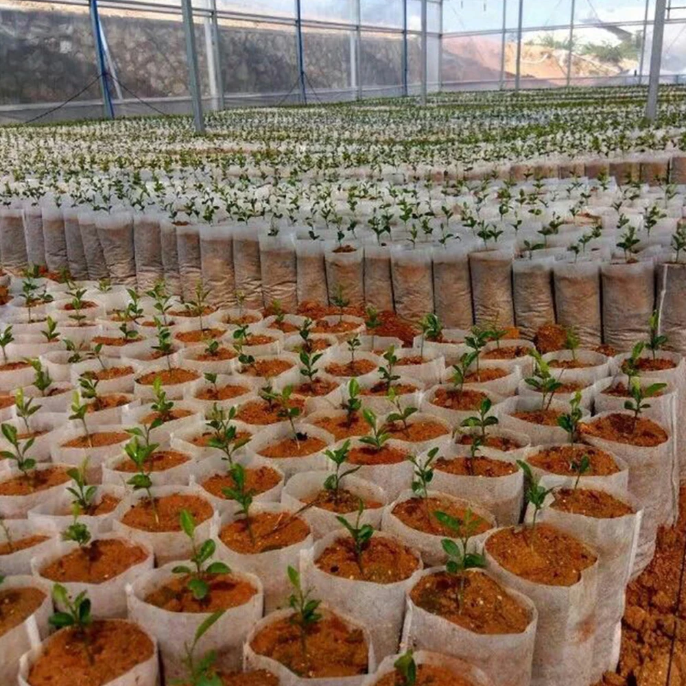 Biodegradable Nursery Grow Bag Non-Woven Plant Cultivation Pouch for Agriculture Greenhouse Vegetable Flower Seedlings Container